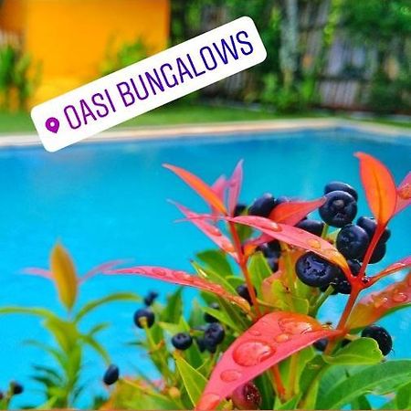 Oasi Bungalows Hotel กิลิไอร์ ภายนอก รูปภาพ
