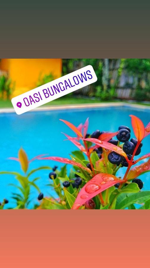 Oasi Bungalows Hotel กิลิไอร์ ภายนอก รูปภาพ