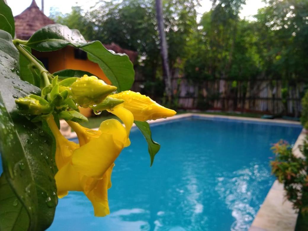 Oasi Bungalows Hotel กิลิไอร์ ภายนอก รูปภาพ